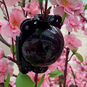 Контейнер для укорінення повітряними живцями ( 5см чорна )