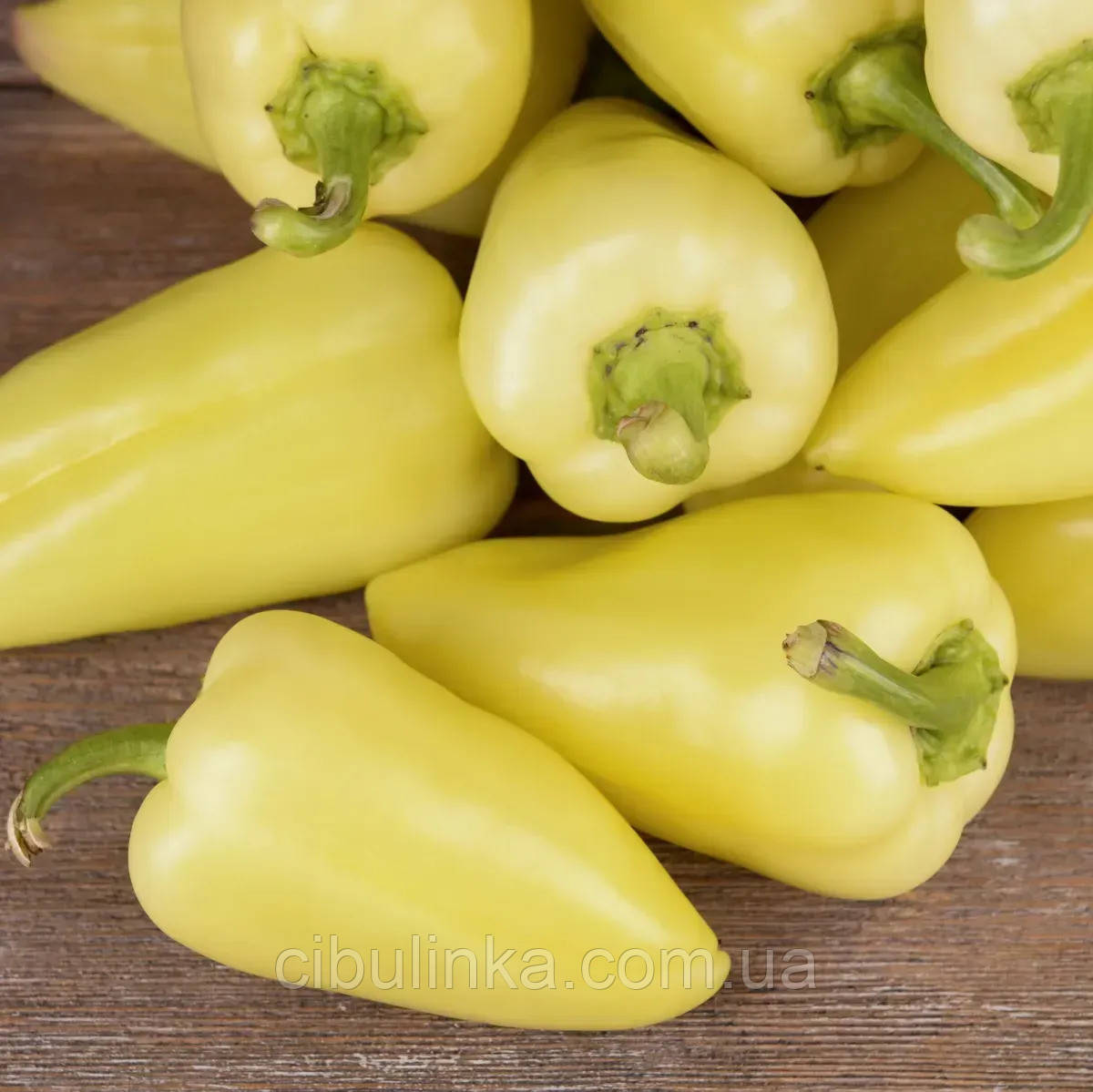 Перець солодкий Хаскі F1 Enza Zaden/Нідерланди 8 шт, фото 1