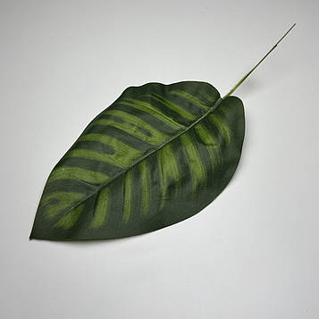Штучний одинарний лист дифенбахії | В-15 см | 10 шт. в упаковці
