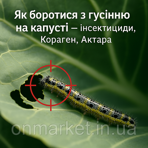 🥬 Як боротися з гусінню на капусті — перевірені методи захисту
