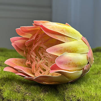 Штучна протея голівка рожево-жовта |В- 8 см|, 10шт/уп