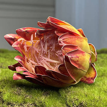 Штучна протея голівка жовто-бордова |В- 8 см|, 10шт/уп