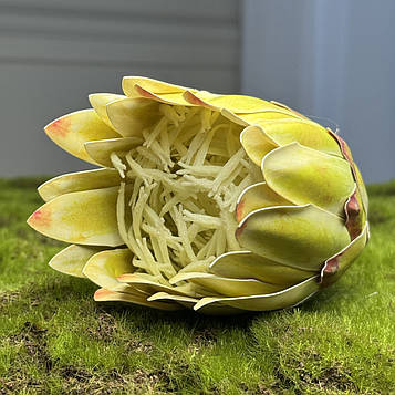 Штучна протея голівка салатова |В- 8 см|, 10шт/уп