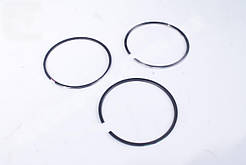 Кiльце поршневе КамАЗ,МАЗ,ПАЗ,ЛiАЗ дв.Cummins ISBe 4.5,ISBe 6.7 d107,0 П\к (вир-во Cummins Investmen)