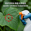 🥒 Обробка від кліщів на огірках — ефективний захист від шкідників