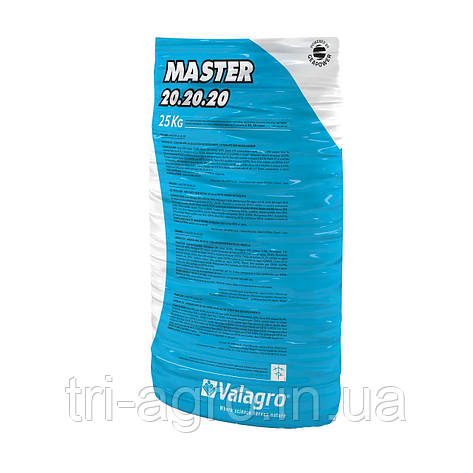 Добриво Мастер Master 20-20-20 10кг Valagro, фото 1