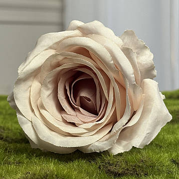 Троянда штучна капуччино, 12 шт. Троянда діаметром 9 см, Штучна троянда для декору, Троянда штучна