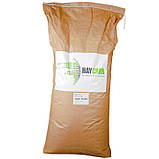 Каталітичне вугілля для очищення води GAC Plus 1 л, фото 2