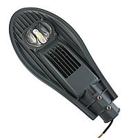 Вуличні світильники світлодіодні Efa 50Вт 140Lm/Вт 5000К LED-STORY SMD Bridgelux