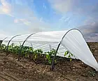 Парник-міні «Дачний», 8 м, фото 3