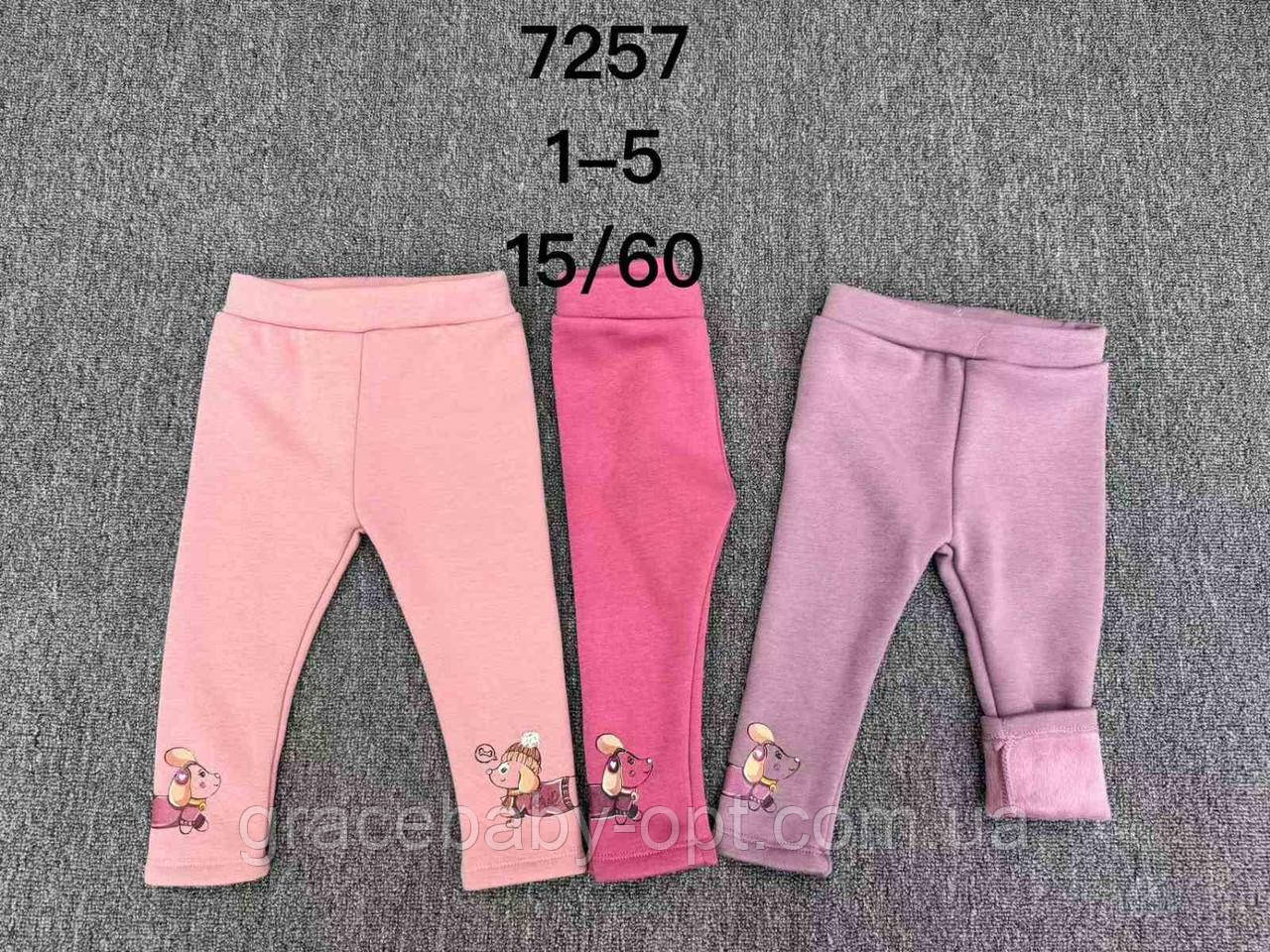 Лосини утеплені для дівчат оптом, F&D, 1-5 рр.,  № 7257, фото 1