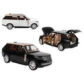 Машинка "Авто Експерт" (2 кольори, електромобіль, зарядна станція, масштаб 1:24, звук, світло, інерція) RS-15526