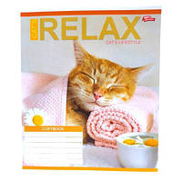 Тетрадь цветная 24 листа Мечты Сбываются 16 штук в упаковке для школы (542278)