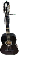 Акустична гітара Б/У Almira CG-1702