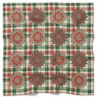 Хустка Червоно-зелені зірки