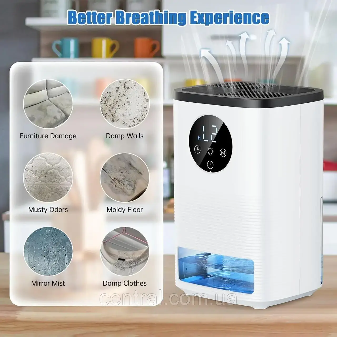 Осушувач повітря Dehumidifier D6 Електричний безшумний осушувач з таймером і підсвіткою для приміщень, фото 1