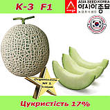 Диня К-3 F1, надрання, «Японська сітчаста», ТМ Asia Seed (Південна Корея), фото 3