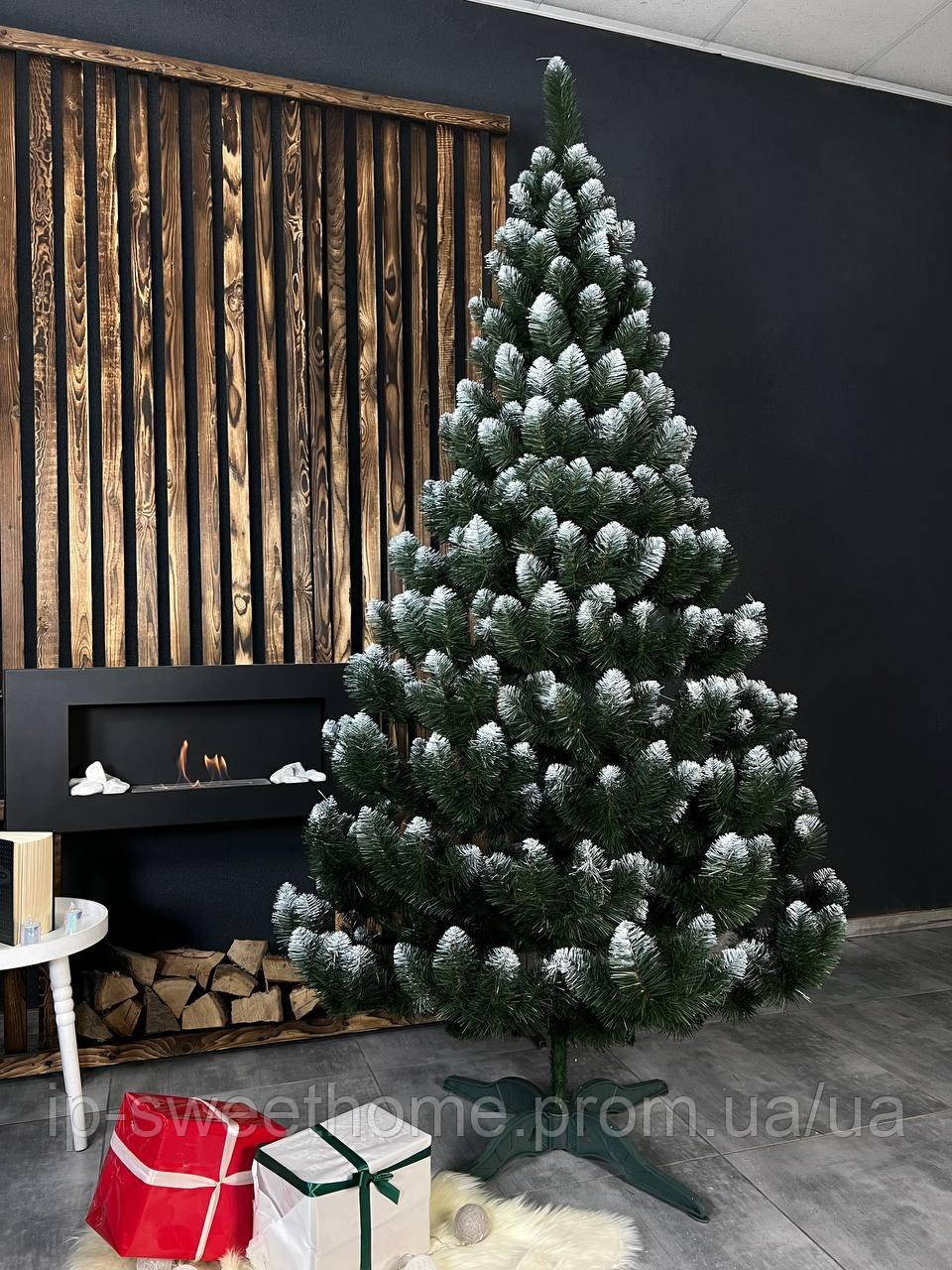 Ялинка Карпатська з білими кінчиками 2,2м