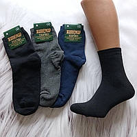Чоловічі теплі шкарпетки Житомир ТЕРМО махрові класика асорті 42-44 (27-29) | 12 пар
