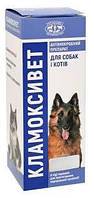 Кламоксивет порошок для пероральної суспензії 50 мл