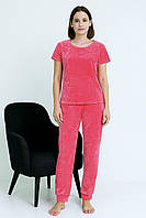 Жіночий велюровий костюм, футболка та штани.