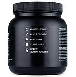 Креатин UNIVERSAL NUTRITION Animal Creatine Powder 500 грам, фото 4