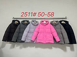 Куртка пуховик