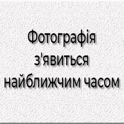 Насос водяний (помпа) нового зразка TTG на мінітрактор DongFeng 404 з дизельним двигуном ZN490, тип 2, фото 1