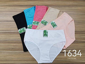 Нове надходження бамбуків середніх розмірів