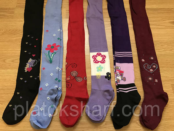трусики под колготками  - 396609506