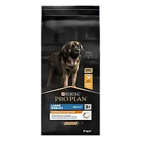 Пуріна Про План Adult Large Robust Everyday Nutrion сухий корм для собак великих порід, курка 14КГ