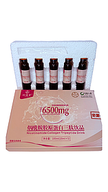 Рибний Колаген з Нікотинамідом і трипептидом 20×5 мл — Комплексне живлення краси та здоров'я