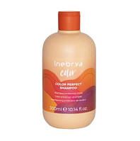 Ідеальний шампунь для фарбованого волосся Inebrya Color Perfect Shampoo, 300 мл