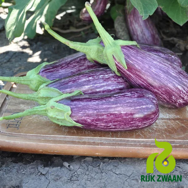 Баклажан Лейре F1 Rijk Zwaan 5 шт (зіп-пакет), фото 1