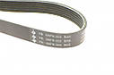Ремінь генератора Audi A6/A8/Q7 17- INA FB 6APK922 UA61, фото 4