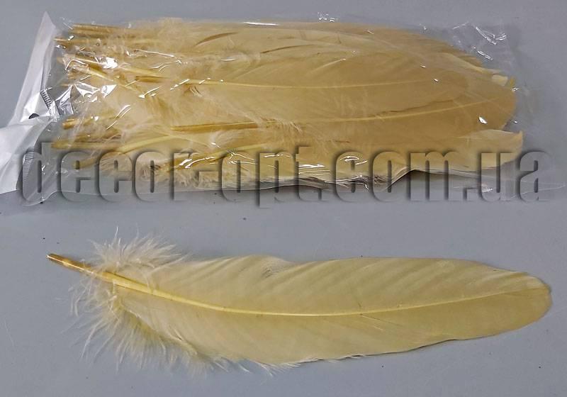 Пір'я кавове 15-20 см 50 шт.