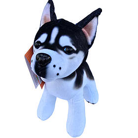 Іграшка м`яка собака Сибірський хаскі плюш Україна Копиця 23*10*20см (00120-66)