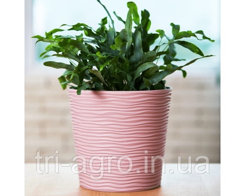 Вазон Ф'южн зі вставкою низький 20*18см фрезія, фото 2