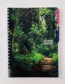 Зошит З роздільниками А4 На спіралі 120 арк. Клітiнка Пластикова обл. (О20355-17) Optima