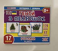 Картки міні Ранок Геній із пелюшок Росліні 17 шт.
