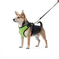 Шлейка жилет для собак Спорт 2