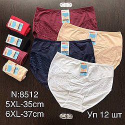 Жіночі труси закриті Батал Розмір: 52-54 і 54-56 (11389)