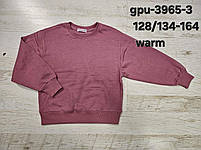 Кофта утеплена для дівчат оптом, Glo-story, 128/134-164 рр.,  № GPU-3965-3, фото 2