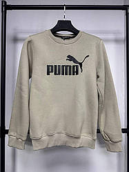 Чоловічий брендовий теплий світшот Pm, чоловіча зимова кофта фісташка. Кофти світшоти. Чоловічий одяг