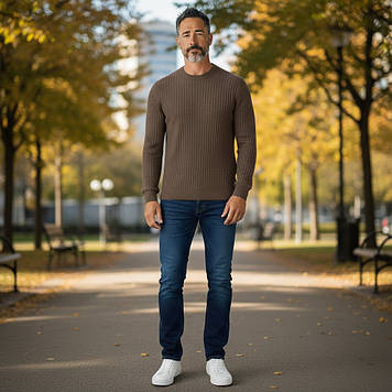 Реглан чоловічий Tony Montana T5044 KAHVE 17% шерсть, 17% поліестер, 66% акрил L(Р)