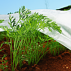 Біле агроволокно Shadow 50 г/м² 3,2×50 м — покривний нетканий матеріал для теплиць і парників, фото 6