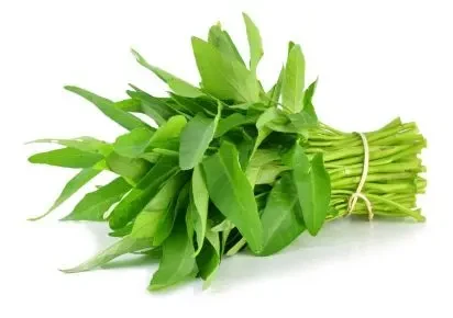 Гідролат листя усьми 150 мл., фото 1