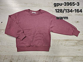 Кофта утеплена для дівчаток оптом, Glo-story, 128/134-164 рр., арт. GPU-3965-3