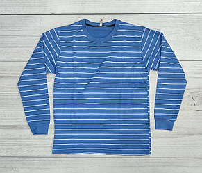 Кофта начос у смужку (джинс)