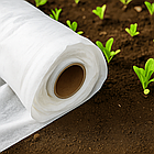 Біле агроволокно Shadow 42 г/м² 2,1×100 м — укривний матеріал для теплиць і захисту рослин від заморозків, фото 6